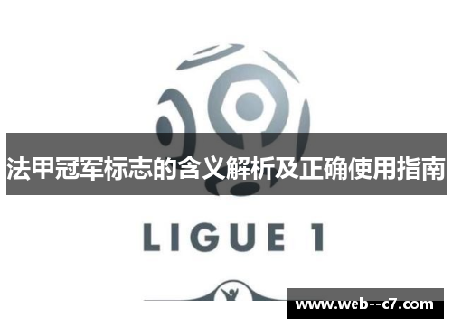 法甲冠军标志的含义解析及正确使用指南