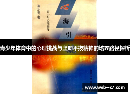 青少年体育中的心理挑战与坚韧不拔精神的培养路径探析