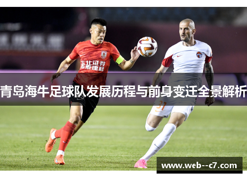 青岛海牛足球队发展历程与前身变迁全景解析