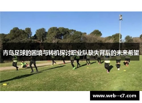 青岛足球的困境与转机探讨职业队缺失背后的未来希望