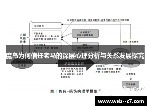 魔鸟为何信任老马的深层心理分析与关系发展探究