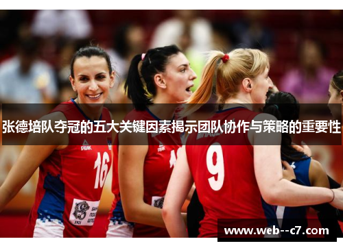 张德培队夺冠的五大关键因素揭示团队协作与策略的重要性