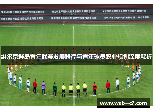 维尔京群岛青年联赛发展路径与青年球员职业规划深度解析 维尔京群岛青年联赛发展路径与青年球员职业规划深度解析