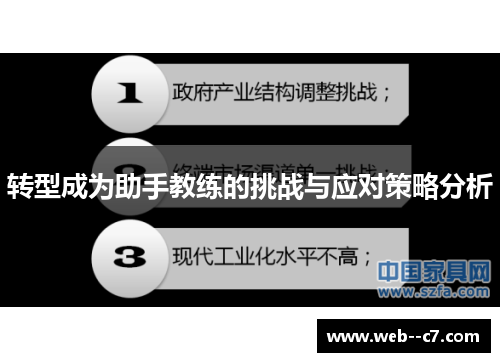 转型成为助手教练的挑战与应对策略分析 转型成为助手教练的挑战与应对策略分析