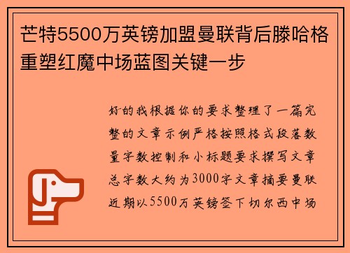 芒特5500万英镑加盟曼联背后滕哈格重塑红魔中场蓝图关键一步 芒特5500万英镑加盟曼联背后滕哈格重塑红魔中场蓝图关键一步
