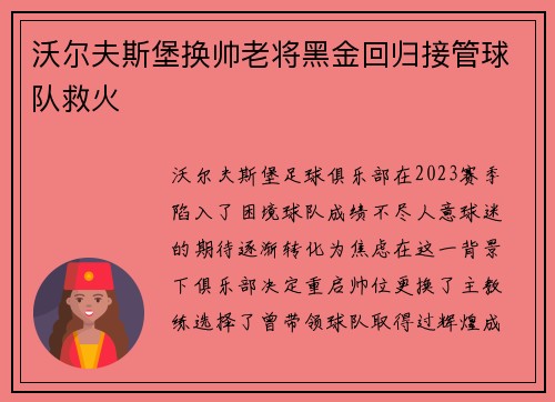 沃尔夫斯堡换帅老将黑金回归接管球队救火